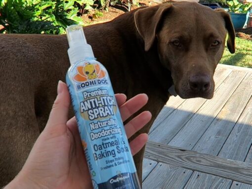 anti itch spray for dogs