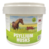 psyllium for horses