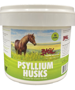 psyllium for horses