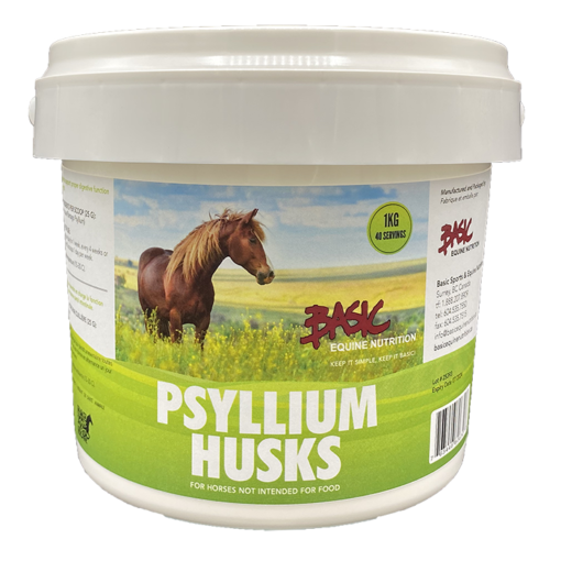 psyllium for horses