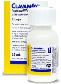 clavamox without vet prescription