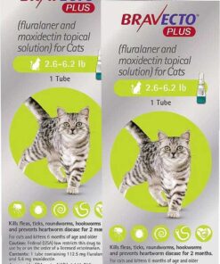 bravecto plus for cats