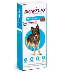 bravecto para perros