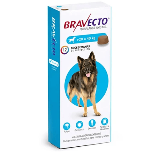 bravecto para perros