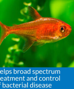 erythromycin for fish