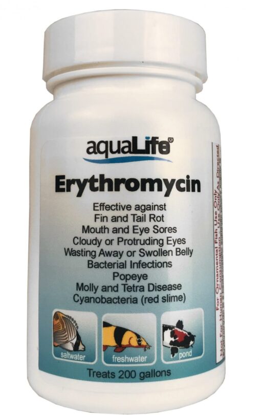 erythromycin for fish