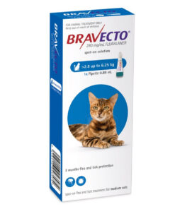 bravecto plus for cats