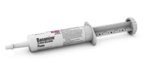 banamine for horses