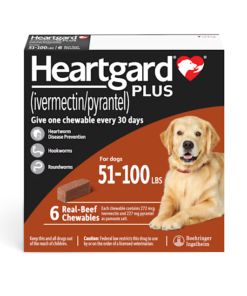 cheapest 12mo heartgard plus 0-25 pound dog