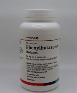 phenylbutazone for horses