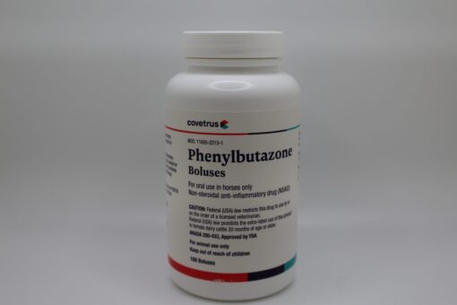 phenylbutazone for horses