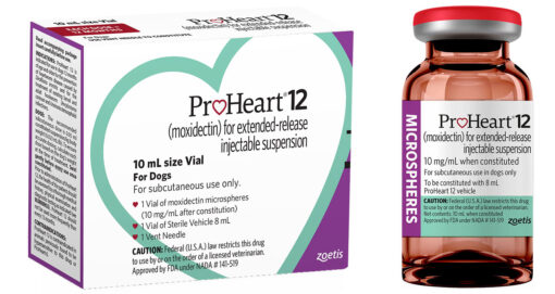 proheart | proheart 6 | proheart heartworm prevention injection | proheart 12