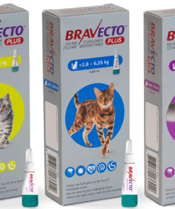 bravecto plus for cats