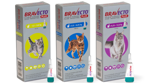 bravecto plus for cats