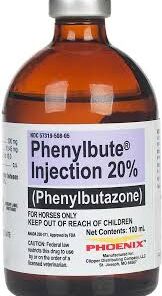 phenylbutazone for horses