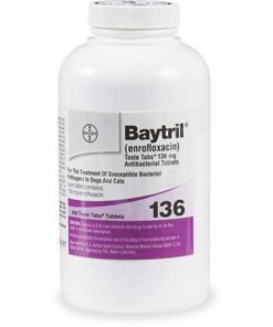 baytril otic for dogs without vet prescription