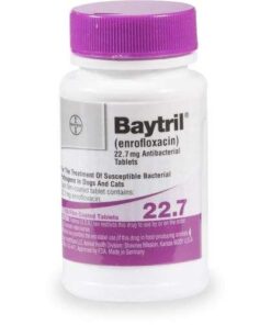 baytril otic for dogs without vet prescription