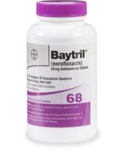 baytril otic for dogs without vet prescription