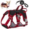 dog harness with handle