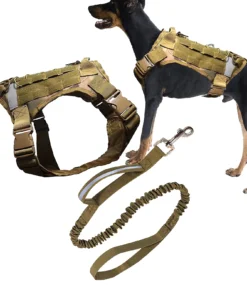 dog harness with handle