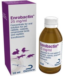 enrofloxacin for rats